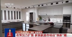 分歧所有制、分歧注册地、分歧规模运营